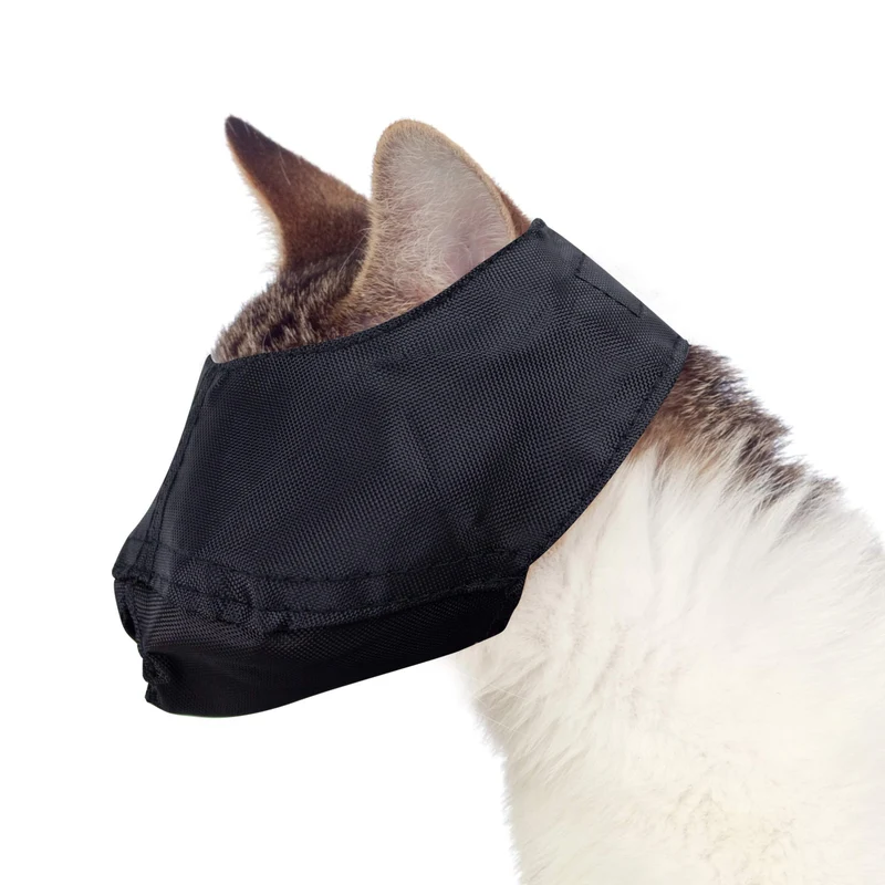Downtown Pet Supply - Muselière pour chat pour le toilettage - Douce et légère - Nylon - Taille moyenne