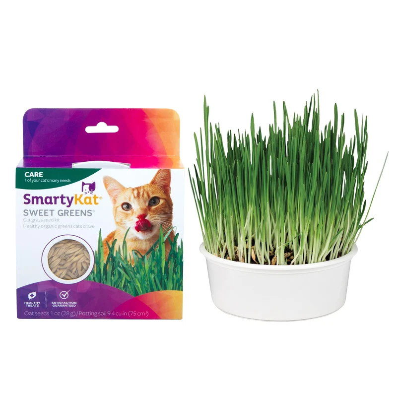 SmartyKat Sweet Greens – Kit tout-en-un d’herbe d’avoine biologique pour chats, facile à cultiver