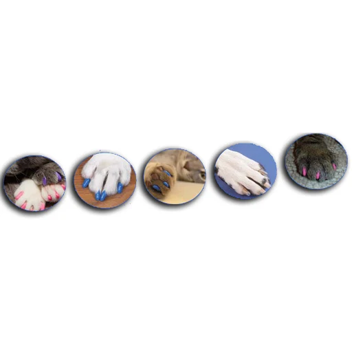 Masked Claw Nail Caps for Cats