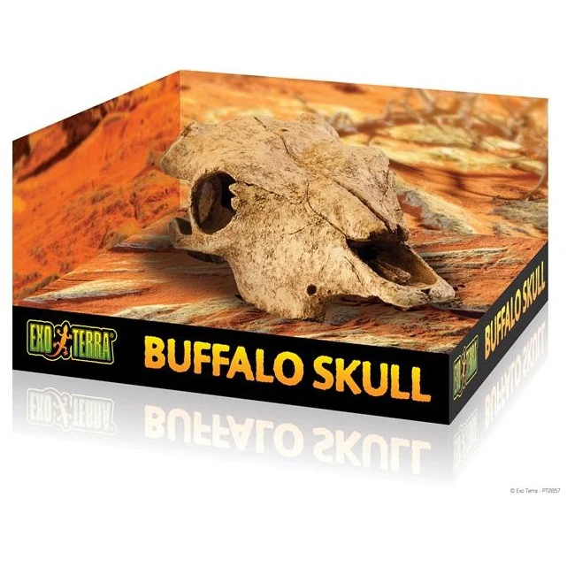 Exo Terra Buffalo Skull