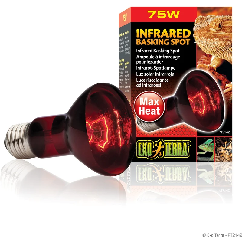 Exo Terra Infrared Basking Spot - R20 / 75 W