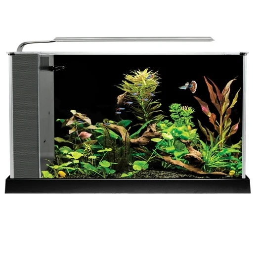 Fluval Spec Aquarium Kit - 19 L (5 US gal)