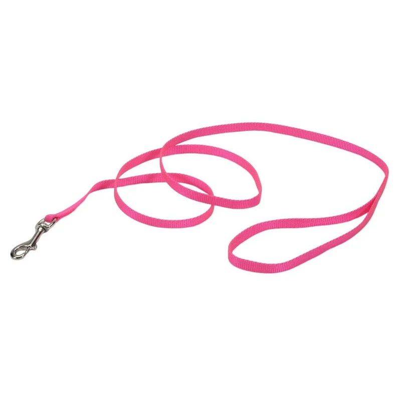 Laisse Coastal pour chien à sangle simple – Robuste et confortable – Rose néon, 6 pieds