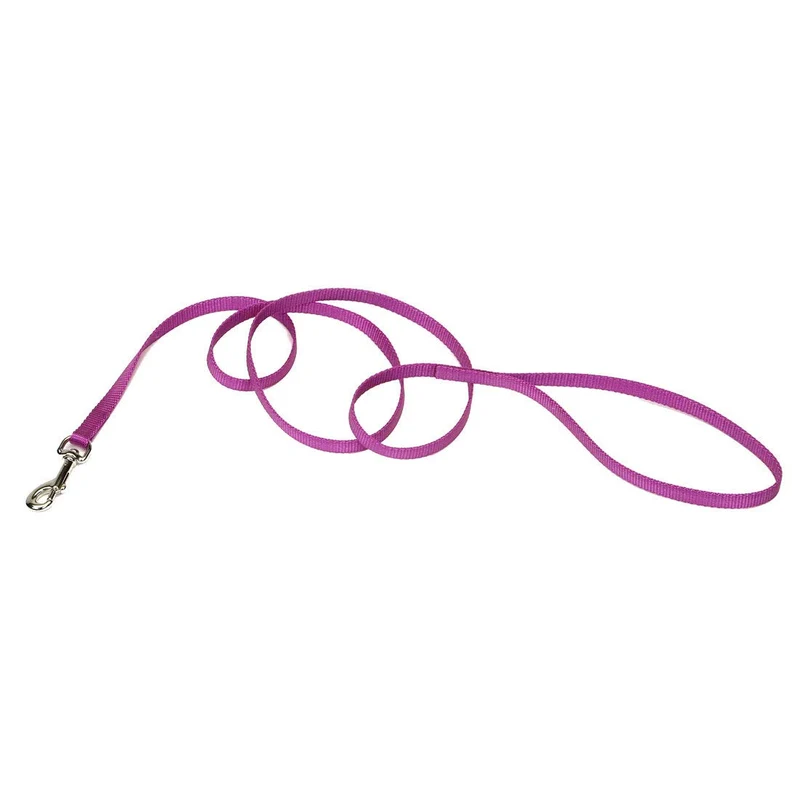 Coastal Pet Laisse à Sangle Simple Orchidée 6' – Robuste, Confortable et Élégante