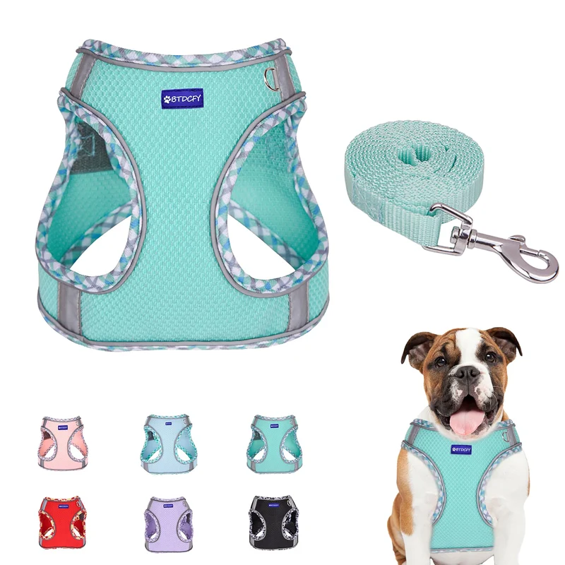 BTDCFY Harnais en maille à enfiler pour chien — Respirant, réfléchissant, sans étranglement, léger — Vert