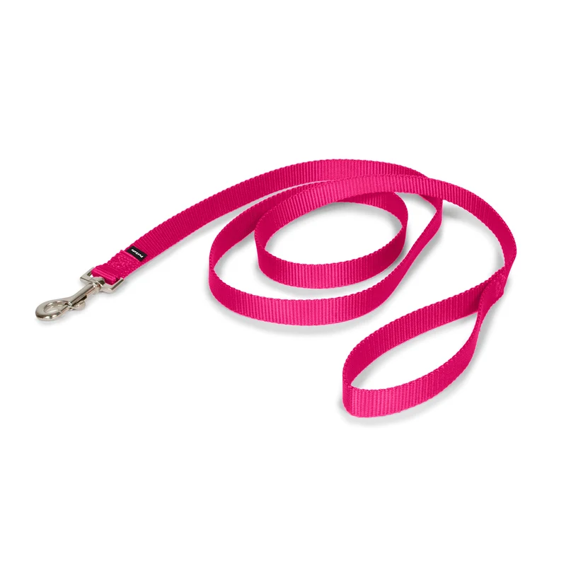 Laisse en nylon PetSafe - Connexion sécurisée lors des promenades - Attache facile - 3/4 po x 6 pi - Rouge framboise