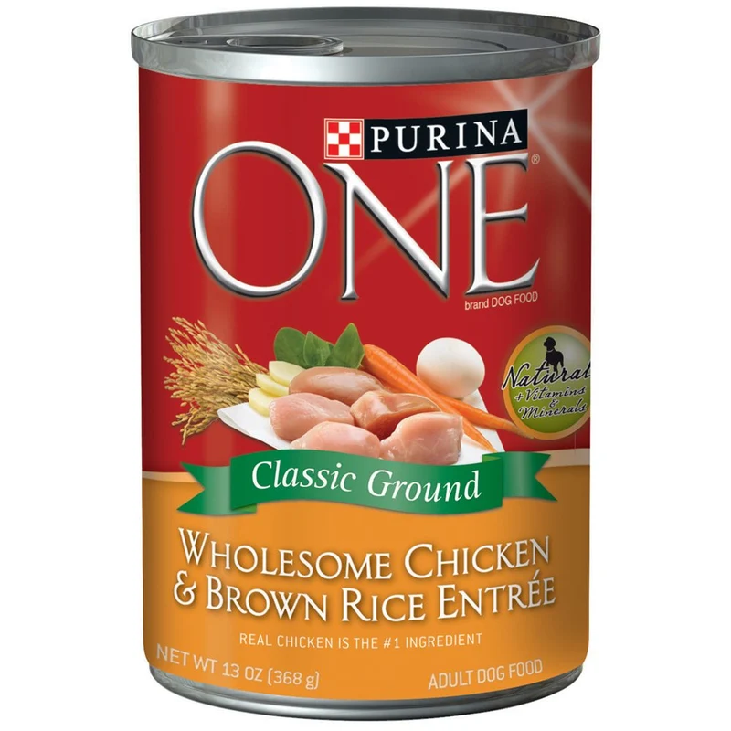 Purina ONE – Croquettes au poulet et riz brun pour chien adulte – 13 oz