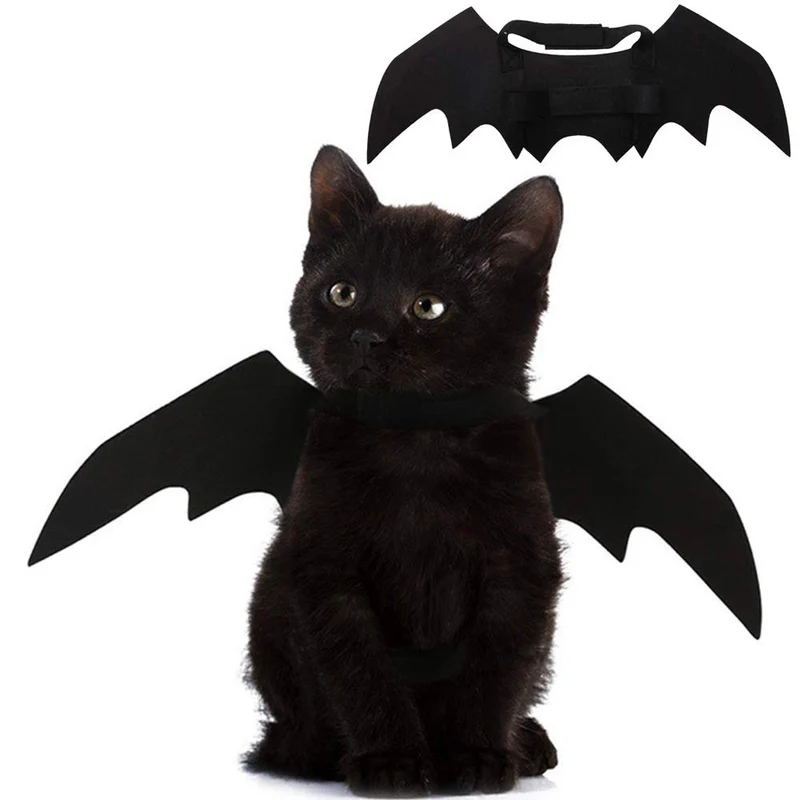 Puoyis Ailes de chauve-souris pour chat et chien – Déguisement Halloween