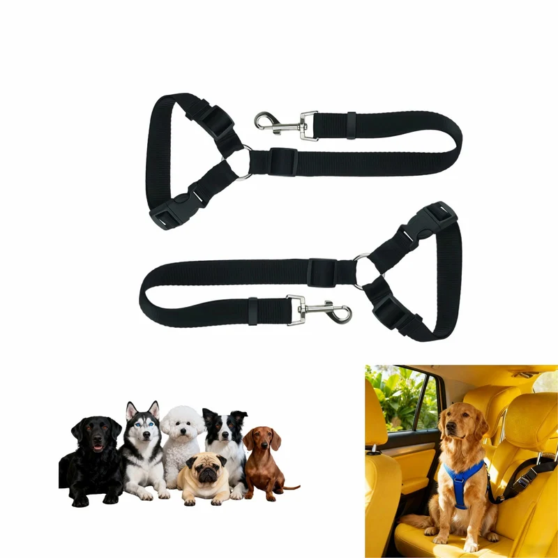 RyanDesign Ceinture sécurité chien 2 en 1 – Harnais et Laisse, Lot de 2