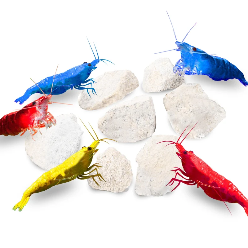 JOR – Pierres Calcium Naturelles (2 oz) pour Crabe Ermite, Crevettes et Escargots | Décor et Source Minérale