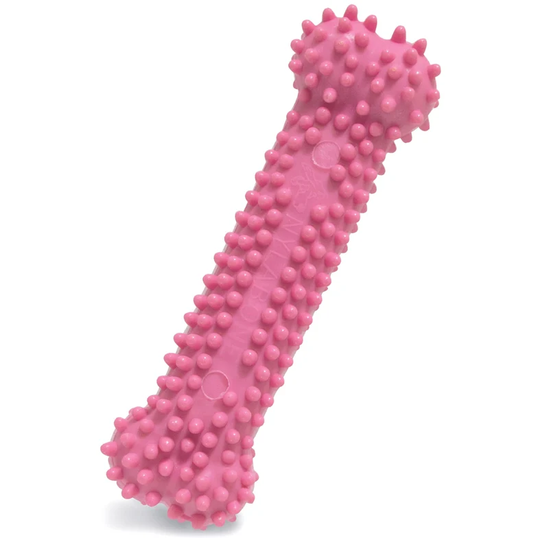 Nylabone Os de dentition texturé pour chiots – Mâcheur apaisant au poulet | X-Small (≤7 kg)