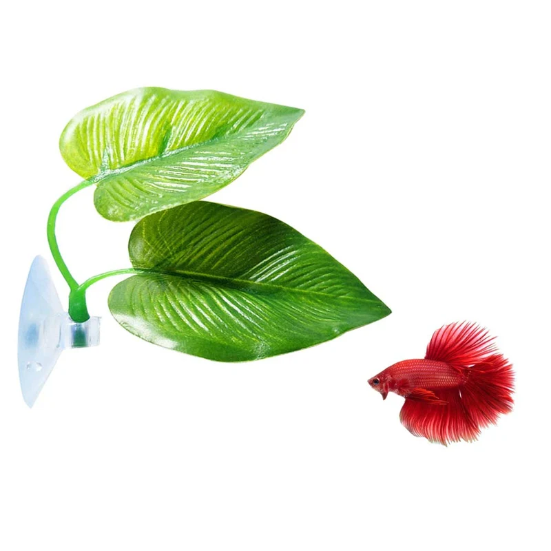 CousDUoBe – Lot de 1 Feuille Betta : Recrée l'Habitat Naturel et Espace de Repos Confortable