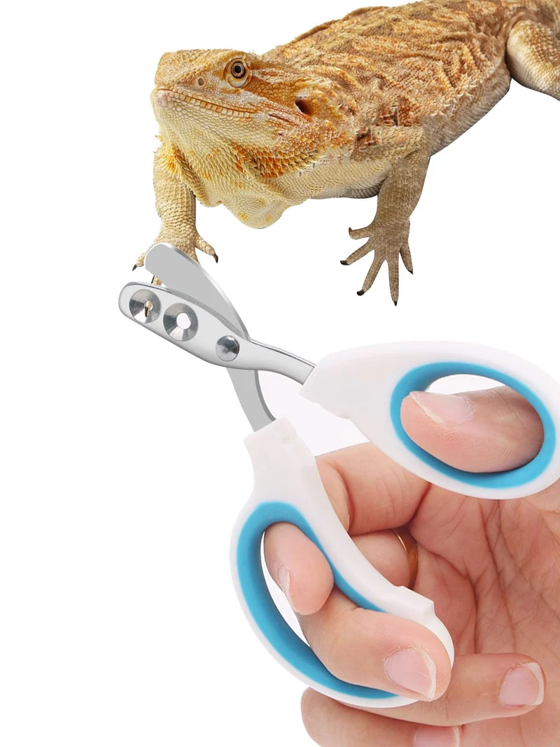 Engorgio – Coupe-ongles en acier inoxydable pour dragon barbu et petits reptiles