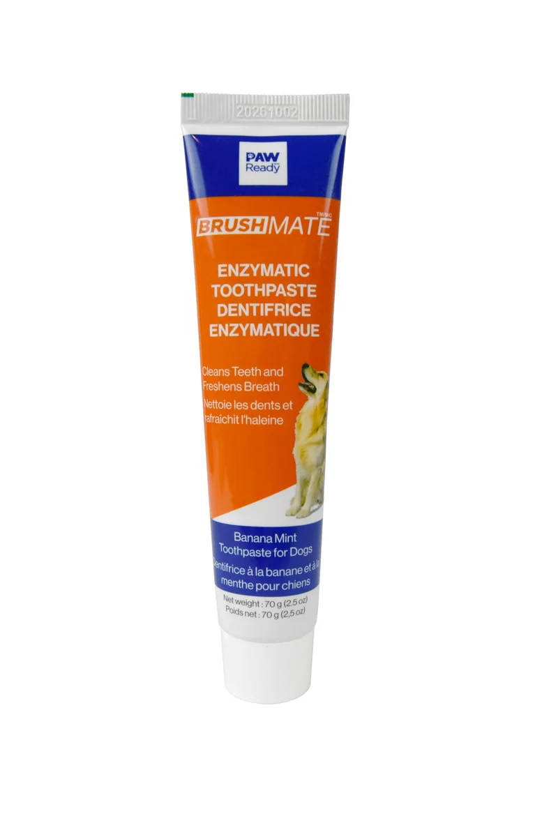Paw Ready – Dentifrice enzymatique pour chiens, haleine fraîche et dents propres, saveur banane menthe, 70 g