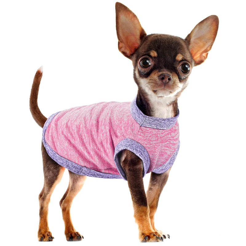 Paiaite Gilet Chien Polyester Ion Rose — Respirant, Léger et Facile à Nettoyer