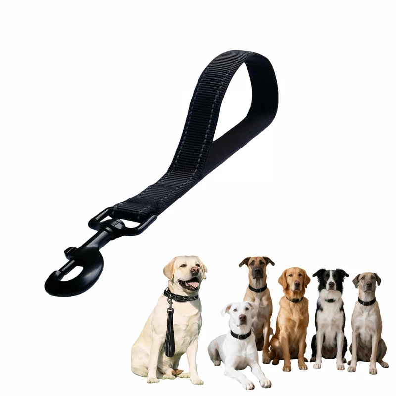 RyanDesign Laisse Nylon Ultra-Resistante avec Poignée Rembourrée – 12 Pouces, Réfléchissante, Pour Chiens Moyens à Grands