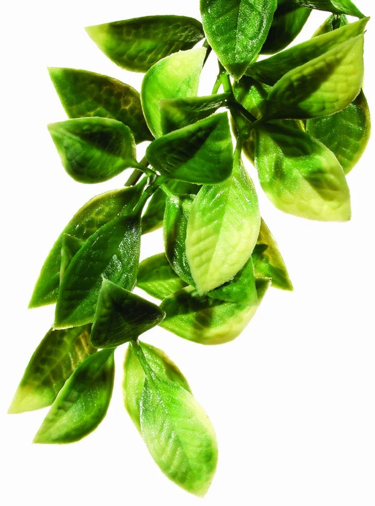 Exo Terra Plante Terrarium Plastique Petite – Mandarine