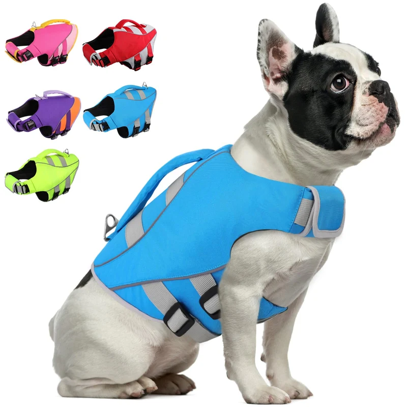 Queenmore Gilet de Sauvetage Chien Petit Bleu Néon – Haute Visibilité
