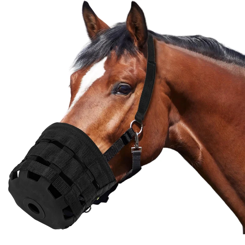IKILEOGY Muzzle de pâture ventilé durable avec halter à rupture — Léger, favorise le pâtage naturel, bande rembourrée, taille Large
