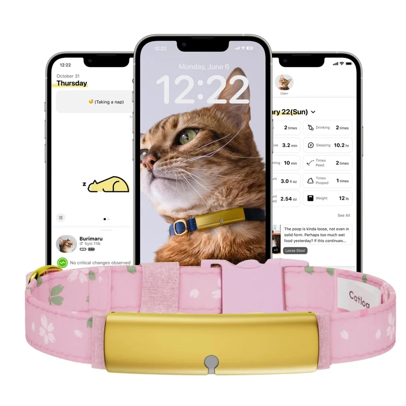 Catlog Health Tracker pour Chats – Collier Kimono Sakura M, Boucle Sécurité, Suivi en Temps Réel