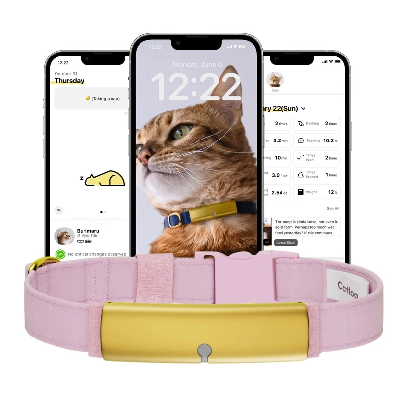 Catlog Health Tracker pour Chats – Collier connecté avec boucle de sécurité et alertes bien-être (Kimono Sakura)