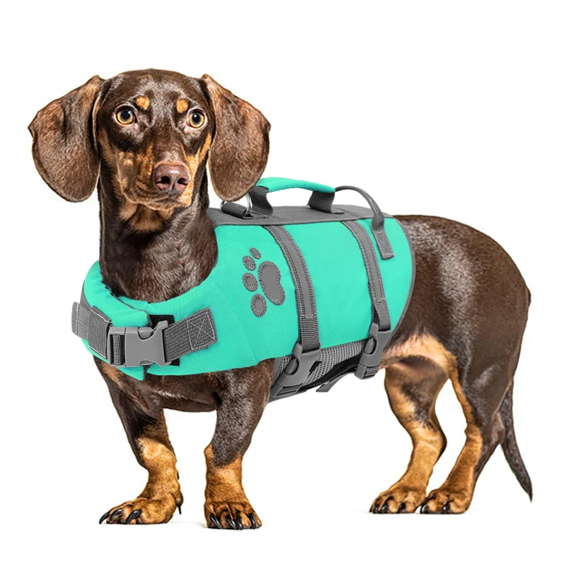 Queenmore Gilet de Sauvetage pour Chien Moyen – Gilet Flottant, Poignée de Secours, Sangles Ajustables et Réflecteurs