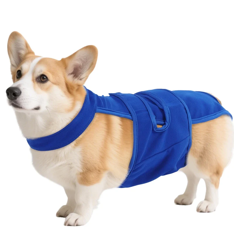QBLEEV Couches Féminines pour Chien avec Suspenders Ajustables – Culottes Sanitaires Lavables (Chien en chaleur ou incontinence, Tailles XS–2XL)