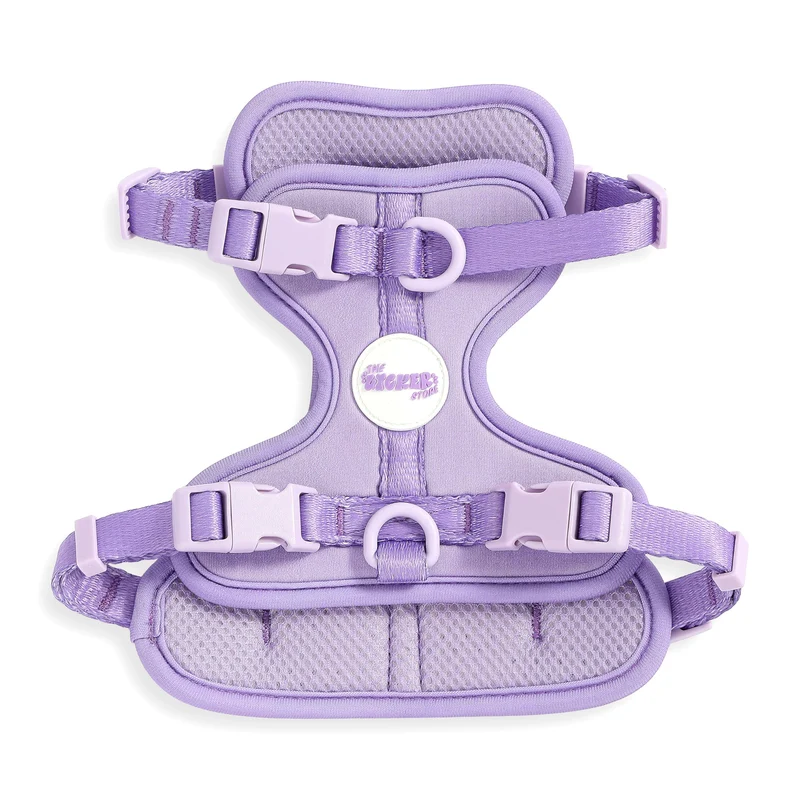 THE LICKER STORE Arlo harnais petit ajustable doux anti-tirage – 3 boucles, 3 attaches, Bramble