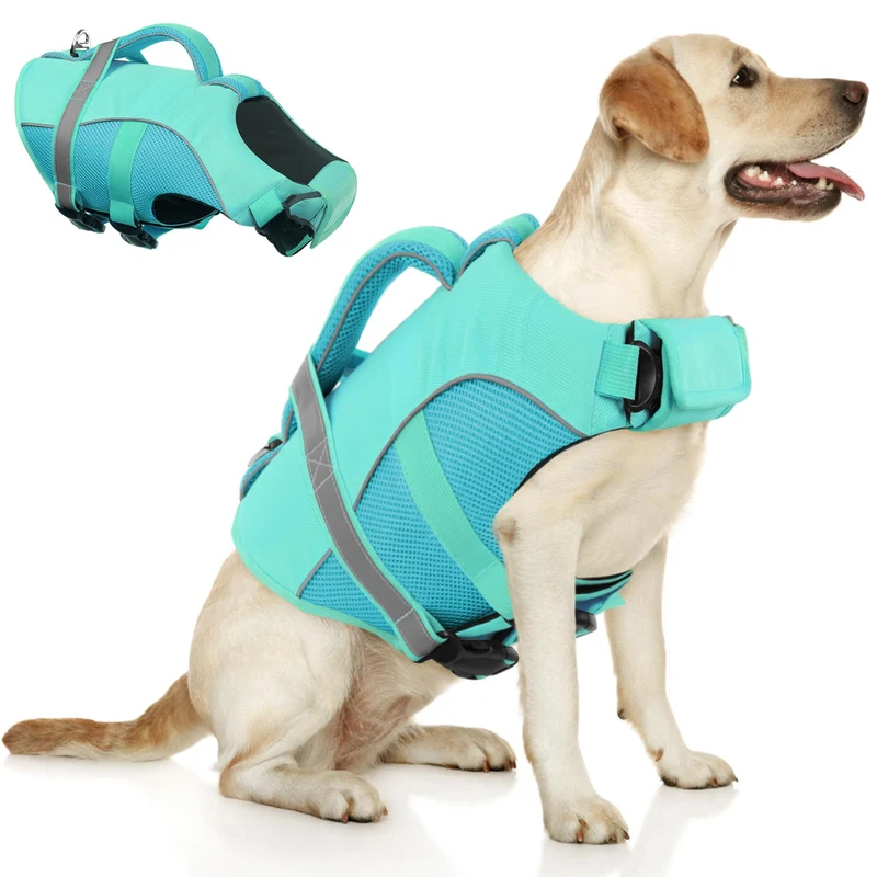 Queenmore Veste de Sauvetage pour Chien — Gilet Flottant Ajustable en Ripstop Bleu Clair (M)