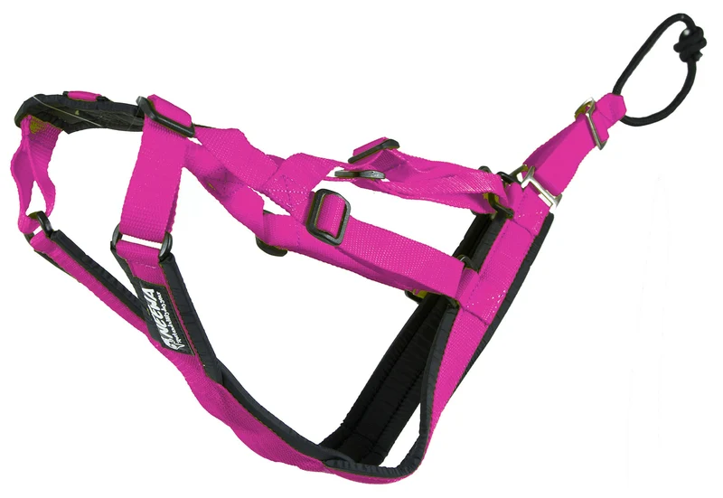 Neewa Harnais Sled Pro Rose — Ajustable pour Grands Chiens, Idéal Traîneau et Canicross