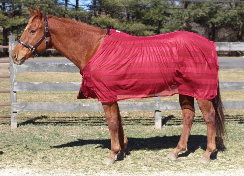 TuffRider Scrim Sheet Bourgogne 72 – Culotte d'équitation Aerocool