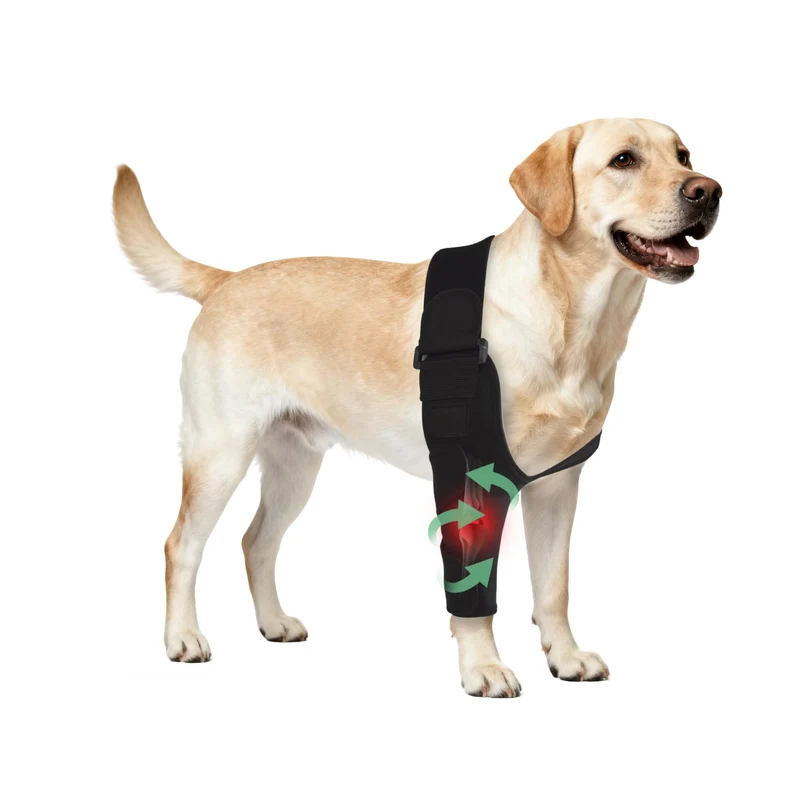 HAPPYHAO Attelle de coude pour chien avec soutien épaule – rééducation et confort (Taille L, patte droite)