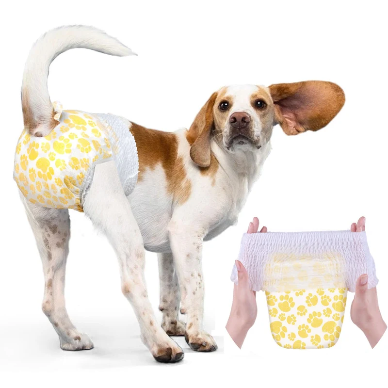 Dono – Couches pour Chien Femelle, Taille M, 72 Pièces, Absorption Élevée et Protection 360°