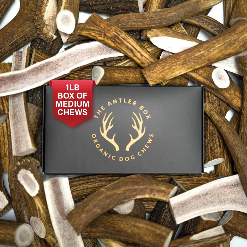 THE ANTLER BOX | Bouchées premium d’élan pour chiens — Boîte 1 livre (4 morceaux divisés)