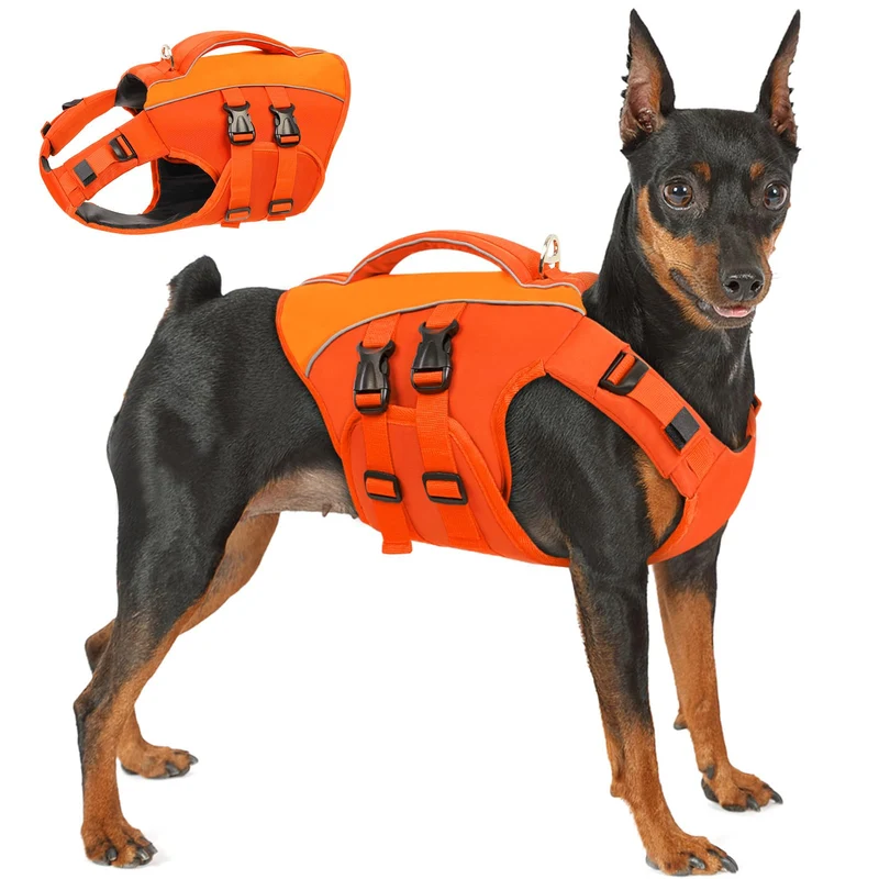 Queenmore Gilet de Sauvetage Chien XL – Gilet Flottant Orange à Haute Visibilité