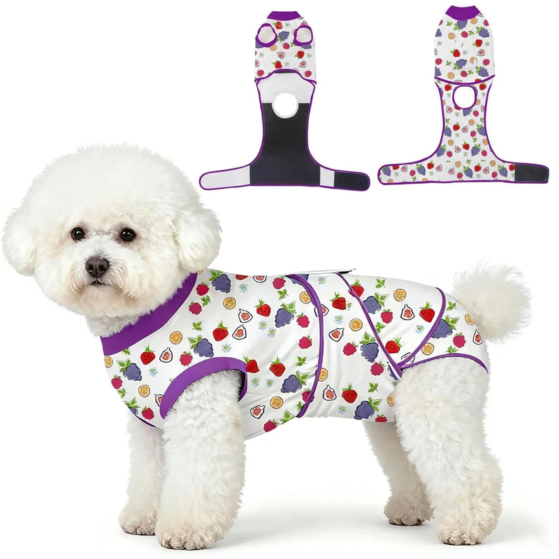 Abuandi – Combinaison de récupération pour chien 3-en-1, alternative au cône de protection (violet, M)