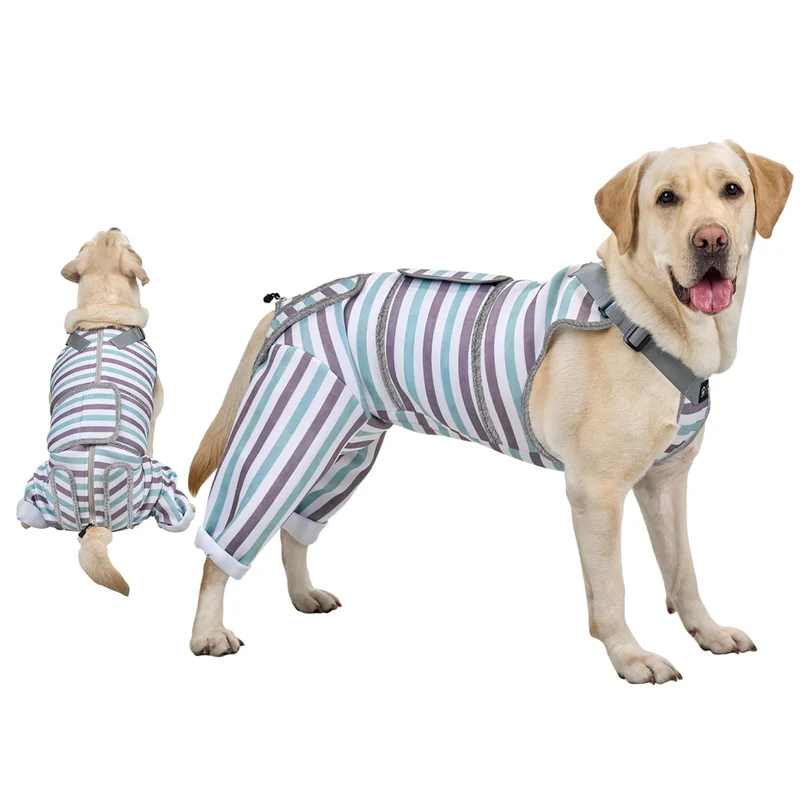 Arblina Combinaison de récupération pour chien – patte arrière ajustable après chirurgie