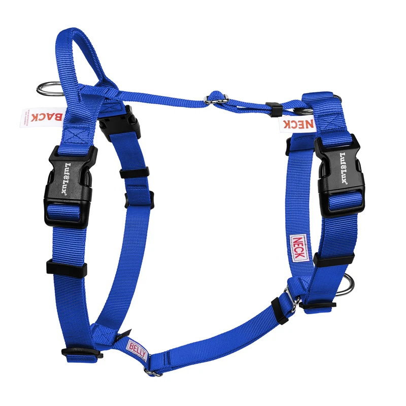 Harnais Chien LufeLux Sans Traction – Design Boucle de Cou et Poignée Dorsale, Marche Facile, Grand Chien Bleu