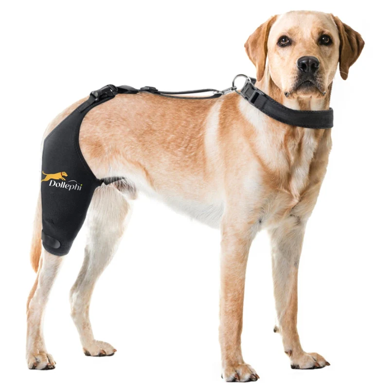 Attelle de Genou Dollephi pour Chien – ACL / Dislocation patellaire, Thérapie Chaud/Froid (Droite, Taille S)