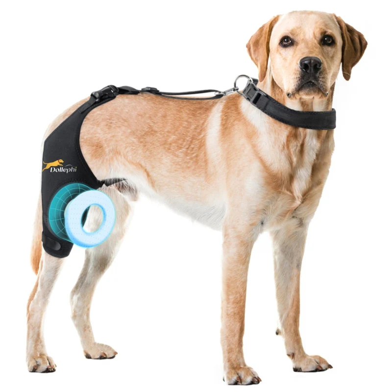 Dollephi orthèse genou chien droite – Soutien ACL, stabilité et anti-dérapant