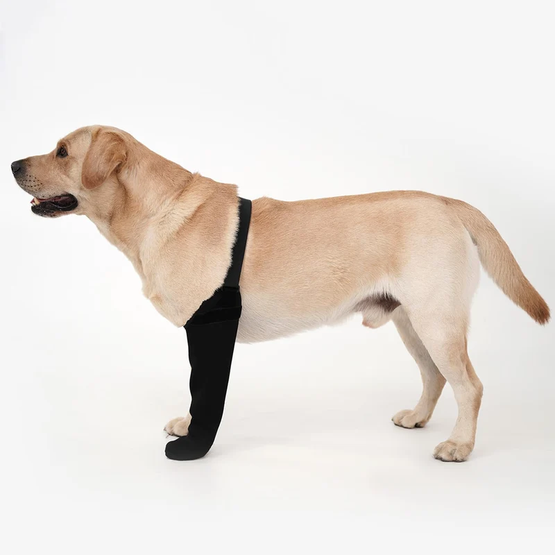 yrenoer Chaussettes de récupération pour chien — Protège-pattes imperméables et semelle antidérapante | Bottes post-chirurgie pour chien (Noir, XL_Gauche)