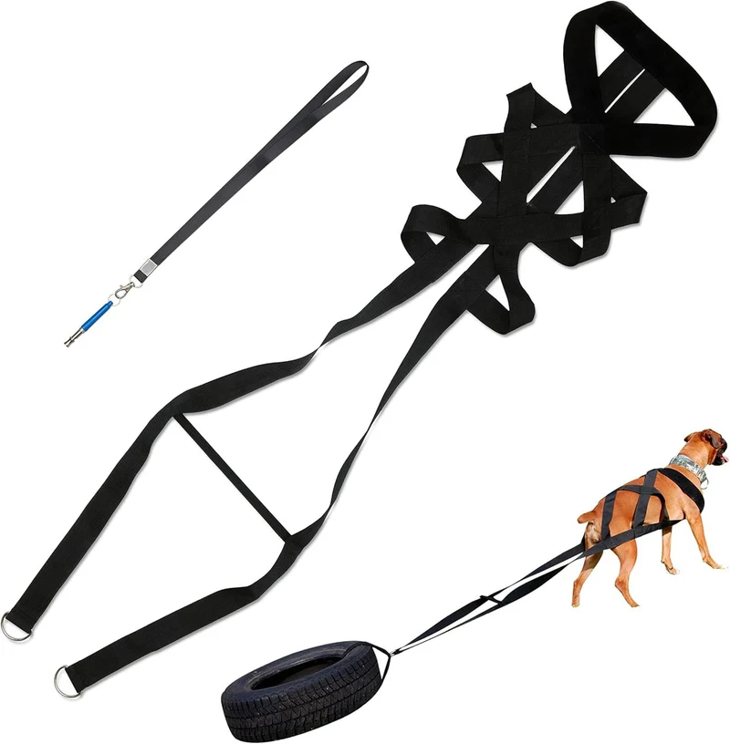 IRSTBL Harnais de Traction pour Chien – Dos Croisé, Sifflet et Canicross