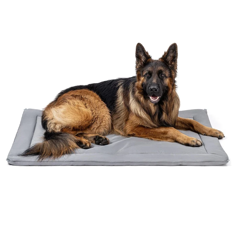 PELZIN Cybarmour — Coussin de Cage Chien à l'Épreuve de la Mastication 47x29, Extérieur Étanche et Robuste