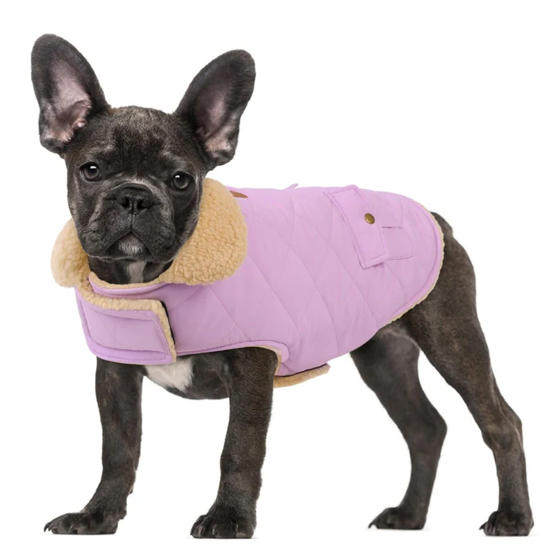 Preferhouse Manteau d'hiver pour chien — Chaud, coupe-vent, grande taille Lilas