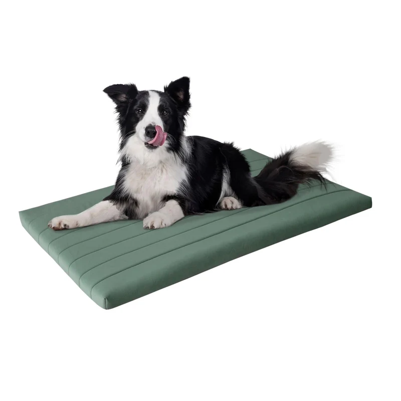 BALANCE Couchage orthopédique pour cage – Matelas chien 42x28x2 po, menthe, lavable et imperméable