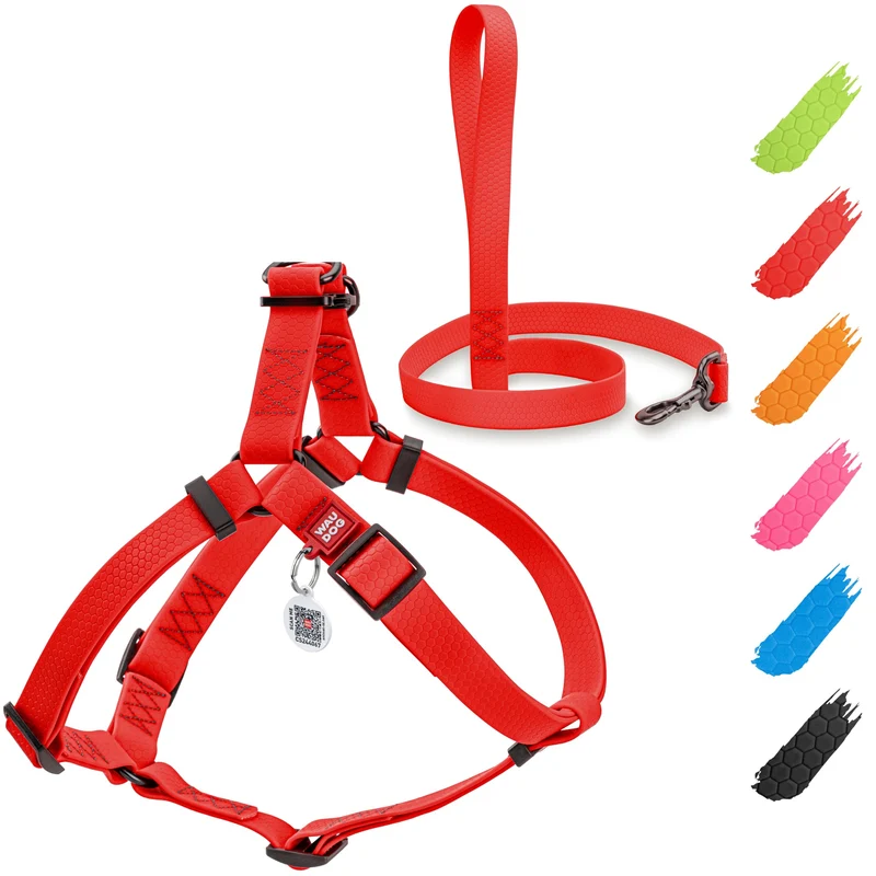 WAUDOG Harnais Imperméable pour Chien + Laisse 6 pieds – Ajustable, Boucle Métal et Badge QR