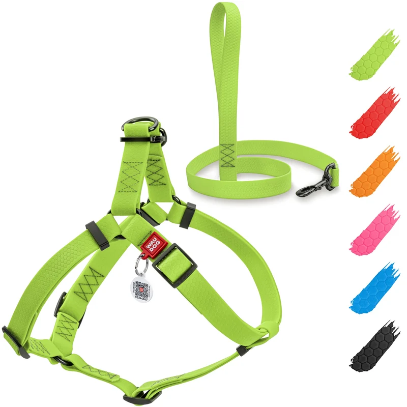 WAUDOG Harnais Imperméable et Laisse – 6 Pieds, Attache Métal & Tag QR