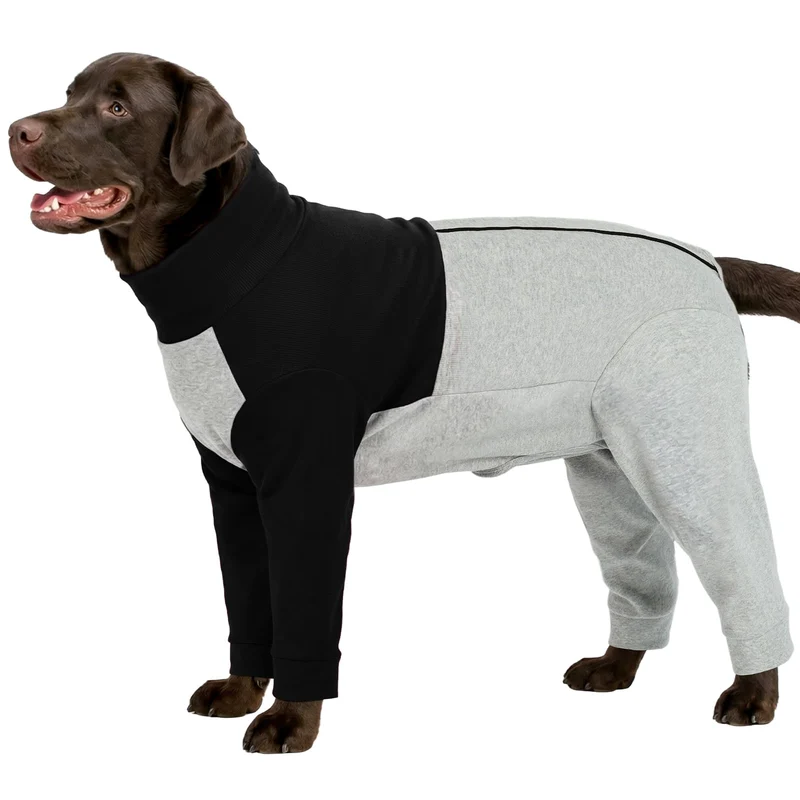 LeLePet Combinaison de Récupération pour Chien – Protection Complète et Confort