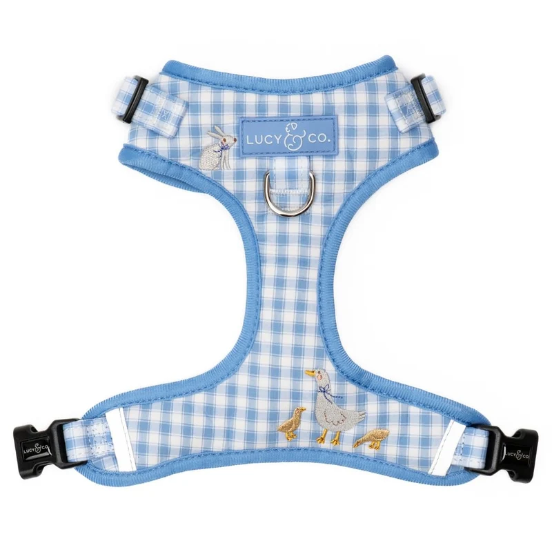Lucy & Co Harnais Silly Goose sans tirage – attache avant réglable et rembourrage confortable, Taille M