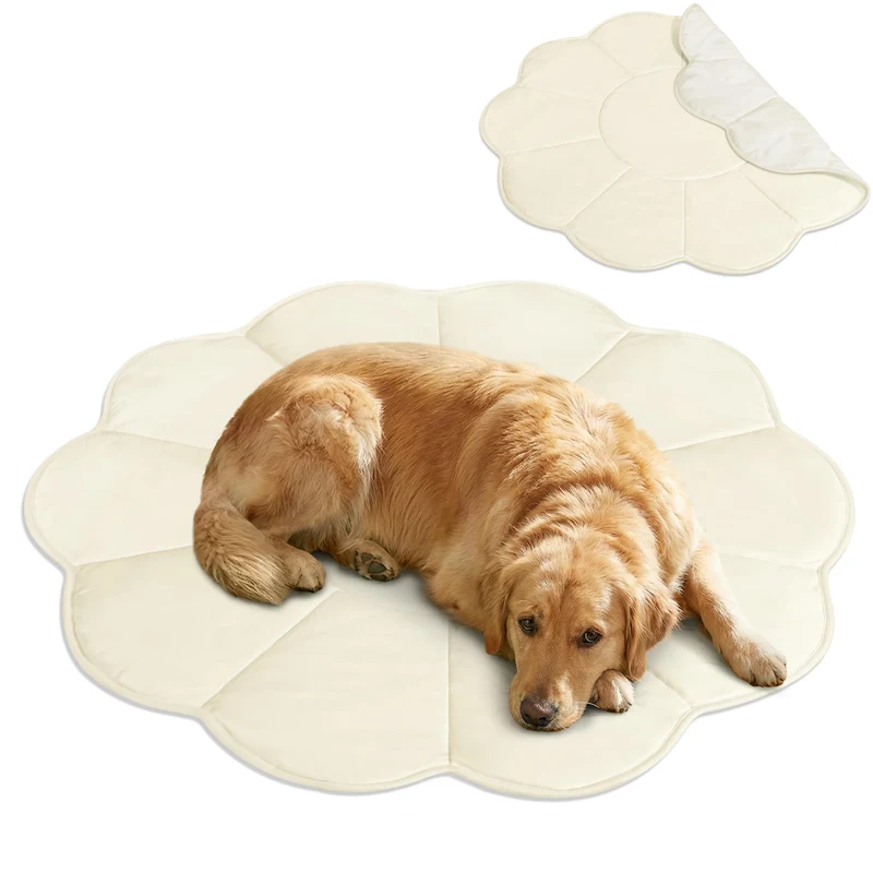 PetAmi Tapis Refroidissant Chien et Chat – Forme Fleur, Réversible, Grand 54x54 cm Beige (Q-Max>0,3)